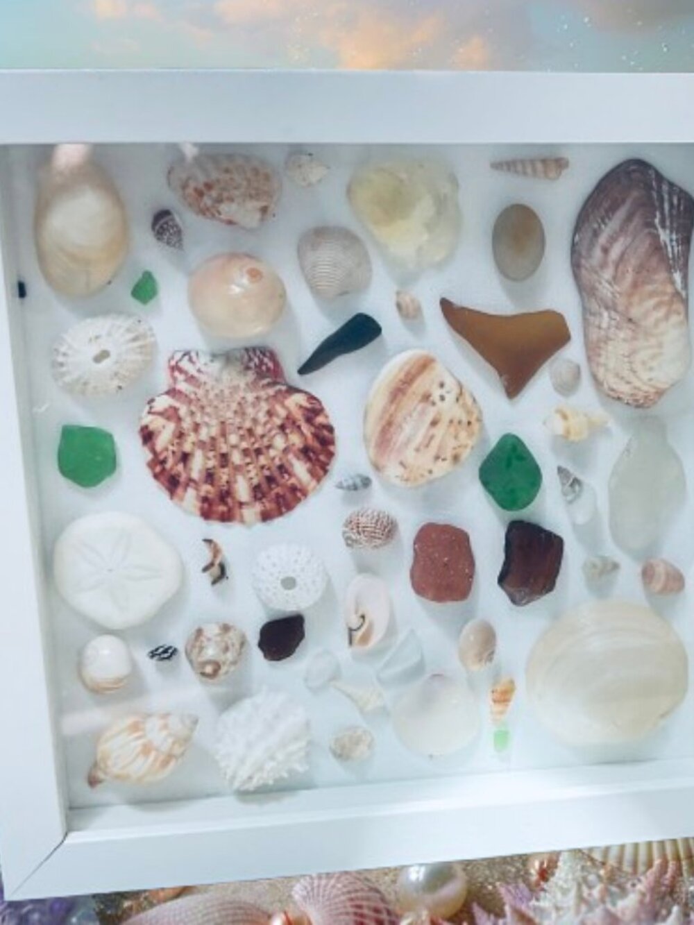 Sea Life Art Piece Shadow Box